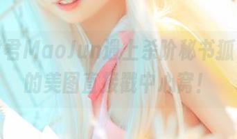 当猫君君MaoJun遇上杀阶秘书狐，更新的美图直接戳中心窝！